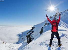 4年总生存达到98.4%！ALK阳性早期肺癌患者迎来治疗新篇章