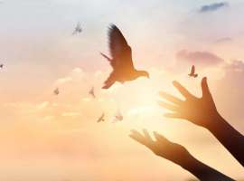 多彩人生丨肺癌晚期治疗近3年转移灶全部消失，免疫力帮母亲“打退”癌细胞