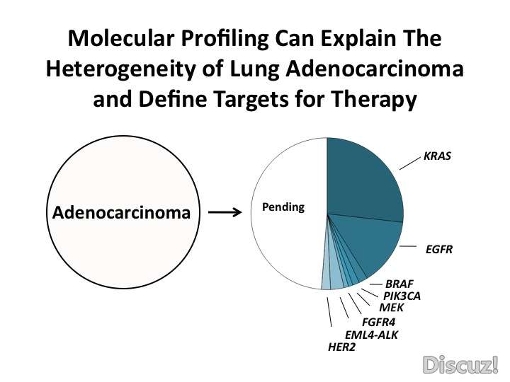 slide021.jpg