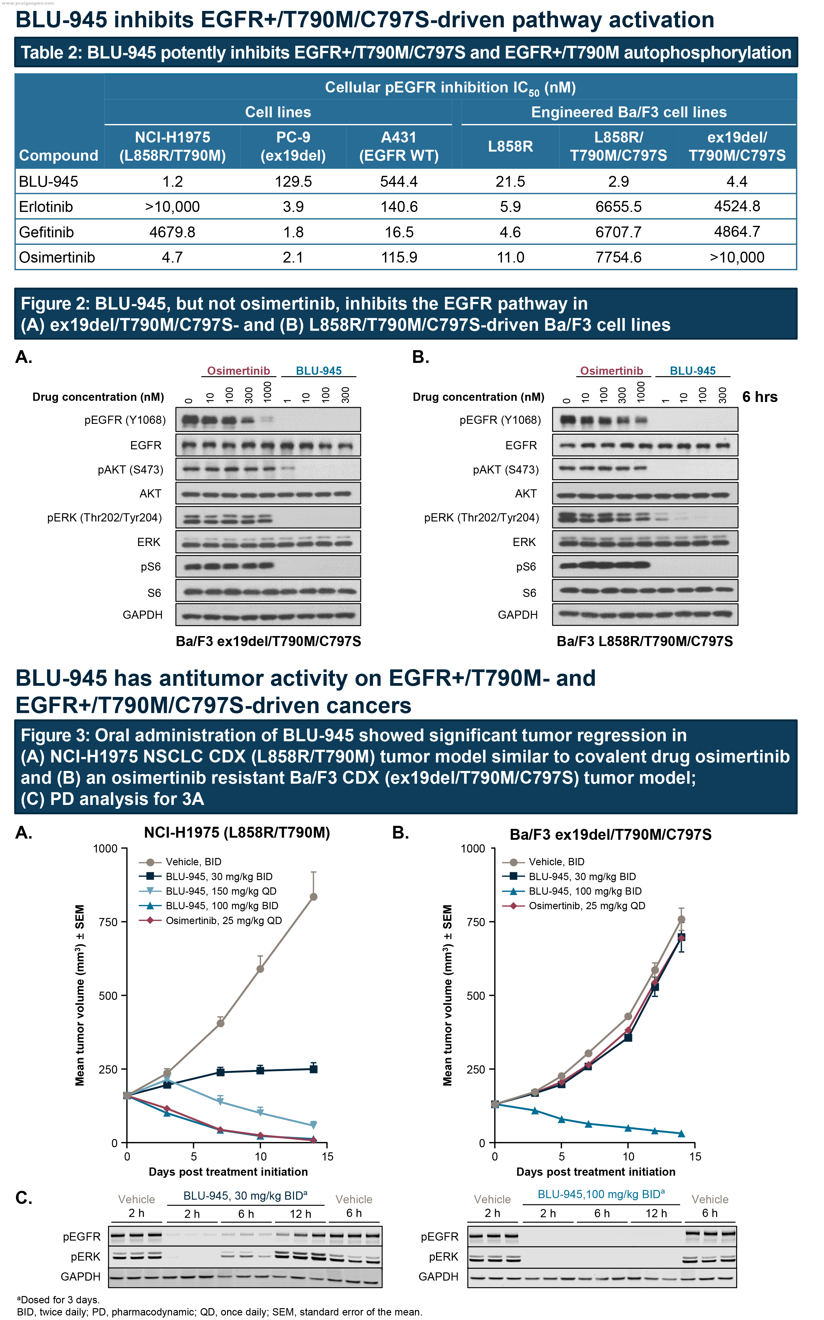 BUL-945-2.png